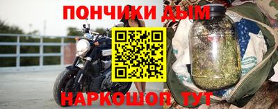 стаф Лесосибирск