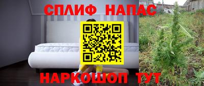 стаф Лесосибирск