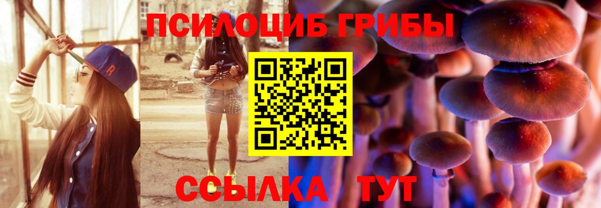 Псилоцибиновые грибы ЛСД  Псилоцибиновые грибы мухоморы  Вход с VPN  Славянск-на-Кубани 